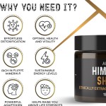BIOCCHN Private Label Shilajit Resin Pure Himalyan Liquid Organic Shilajit Food Supplement Minerals Fulvic Acid Shilajit Resin