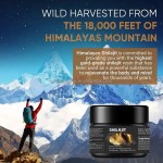 BIOCCHN Wholesale 30g 50g Shilajit Pure Shilajit Pure Himalayan Organic Private Label Shilajit Resin Pure Himalayan