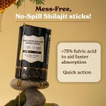 BIOCRICH Private Label Suplements Custom Gold Shilajit Honey Sticker for Men Organic Himalayan Shilajit Honey Sticks