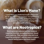 Biocaro OEM Private Label Halal Organic Lions Mane Mushroom Complex Capsules Reishi Cinnamon Cordyceps Extract Capsule