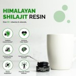 BIOCCHN OEM Organic Shilajit Paste Shilajit Extract Supplements Multiple Minerals Fulvic Acid Shilajit Resin Pure Himalayan