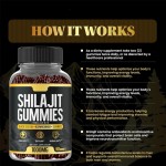 BIOCCHN OEM Halal Shilajit Gold Gummies Gummy Private Label Natural Organic Pure Himalayan Shilajit Gummies