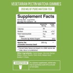 BIOCCHN New Arrival Matcha Green Tea Gummies Vegan Organic Matcha Provide Energy & Focus