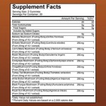 BIOCCHN Private Label Organic Lions Mane Extract Gummies Gummy Supplement Lions Mane Mushroom Gummies