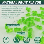 BIOCCHN OEM Private Label Sea Moss Gummies Organic Burdock Root Gummies Sea Moss and Bladderwrack Gummies Seamoss Supplement