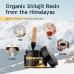 BIOCCHN OEM Shilajit Ointment Himalaya Shilajit Resin with Trace Minerals & Fulvic Acid Dietary Supplement for Immune System