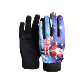 Motorcycle Gloves - Custom Logo Winter Season Factory