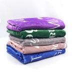 Microfiber Blanket - Summer Custom Logo Factory