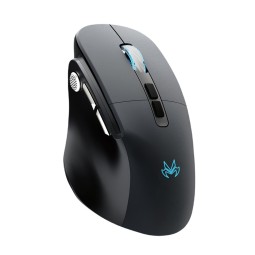 Wireless Gaming Mouse Manufacturer - E-Sport Nano Receiver Type-C