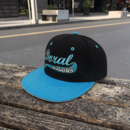 Snapback Cap Factory - 3D Puff Embroidery Wholesale