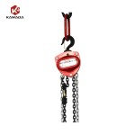 Manual Chain Hoist Supplier - 250kg-5T Wireless Control OEM