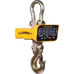 Crane Digital Scale Supplier - 1T 3T 10T Remote Controller Hook