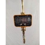 Electronic Hanging Scale Factory - Portable Xray Watch Balance