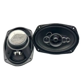 Coaxial Car Audio Speakers Factory - 1000W for BMW Mercedes Audi Ford