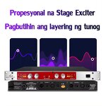 Audio Enhancer Supplier - BB E 88 2i Processor Karaoke DJ