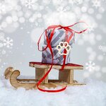 Wood Dog Bone Cutouts Manufacturer - Unfinished for Crafts Party Decor