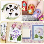 Wooden Wall Art Supplier - Laser Cut Craft for Home Decoration