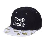Snapback Hat Supplier - Brand Quality OEM Tags Flat Brim