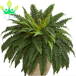 Artificial Fern Factory - Hanging Basket Plant