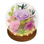 LED Rose Flower Factory - Preserved Floral Gift