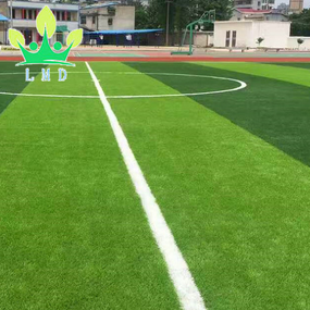 Artificial Grass Carpet Factory - High Density Lawn