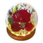 Preserved Rose Dome Factory - LED Gift for Anniversary