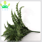 Artificial Fern Factory - Hanging Basket Plant