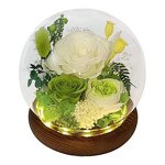 LED Rose Flower Factory - Preserved Floral Gift