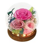 Preserved Rose Factory - Wedding Flower Gift Supplier