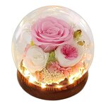 Preserved Rose Dome Factory - LED Gift for Anniversary