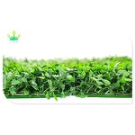 Artificial Boxwood Panel Factory - Privacy Screen