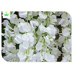 Artificial Hanging Garland Factory - Wisteria Vine Decor