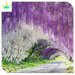 Artificial Rattan Vine Factory - Hanging Silk Flowers