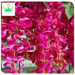 Artificial Wisteria Plant Factory - Hanging Silk Vine