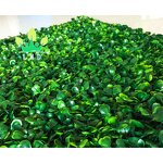 Artificial Greenery Panel Factory - UV Protection Boxwood
