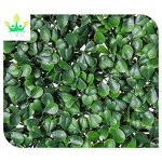 Artificial Boxwood Panel Factory - Privacy Screen
