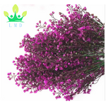 Artificial Fern Plant Factory - Persian Grass Supplier