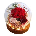 LED Preserved Rose Factory - Gift for Women