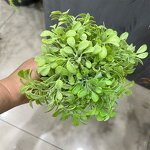 Artificial Grass Stems Factory - PE Wire Decor