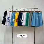 Mesh Shorts Supplier - Quick Drying American Size Purple Bag Men