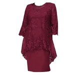 Plus Size Dress Supplier - S-8xl Lace Evening Cocktail Modest Mother Bride