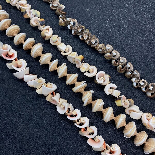 Conch Beads Factory - Natural Multicolor Sea Shell DIY Jewelry Craft
