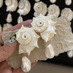 Shell Earring Supplier - New Conch Crab Asymmetric Drop Summer Beach Vintage