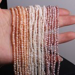 Freshwater Pearl Beads Supplier - High Quality Oval Punch Loose DIY