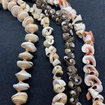 Conch Beads Factory - Natural Multicolor Sea Shell DIY Jewelry Craft