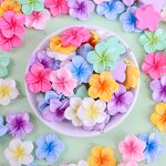 Frangipani Charms Factory - 7 Colors Floral Resin Bulk Hawaii Summer Spring