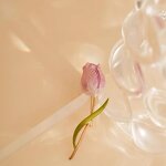 Alloy Brooch Factory - Tulip Flower Pin Plant Lapel Banquet Party Gifts