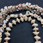 Conch Beads Factory - Natural Multicolor Sea Shell DIY Jewelry Craft