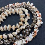 Conch Beads Factory - Natural Multicolor Sea Shell DIY Jewelry Craft