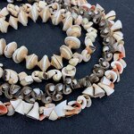 Conch Beads Factory - Natural Multicolor Sea Shell DIY Jewelry Craft